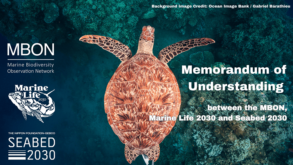 MBON Partnership with Seabed2030