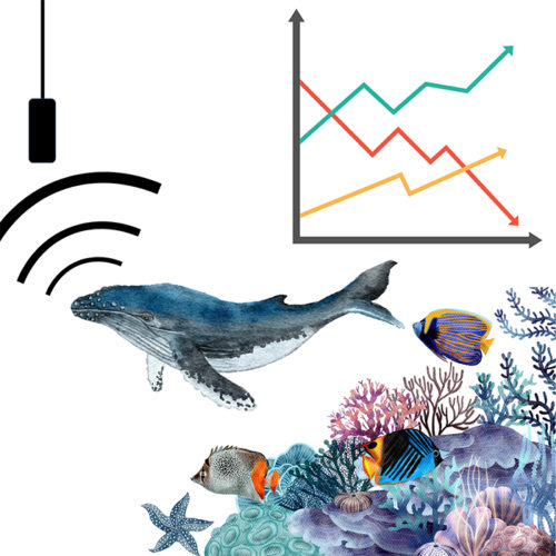 Passive acoustic monitoring equipment in the ocean