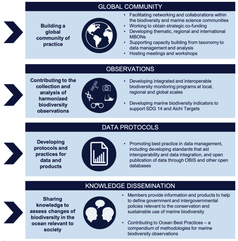 MBON network infographic