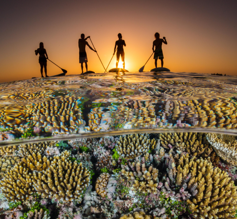Publication of Ocean Decade Vision 2030 White Papers