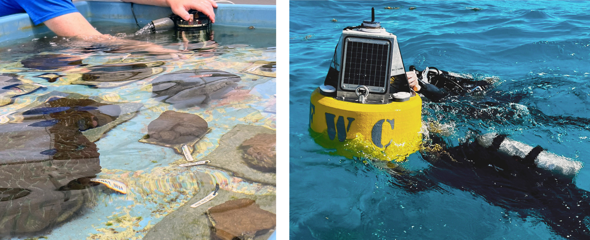 From a Whale’s Song to an Ocean’s Symphony: How AI Decodes Underwater Sound