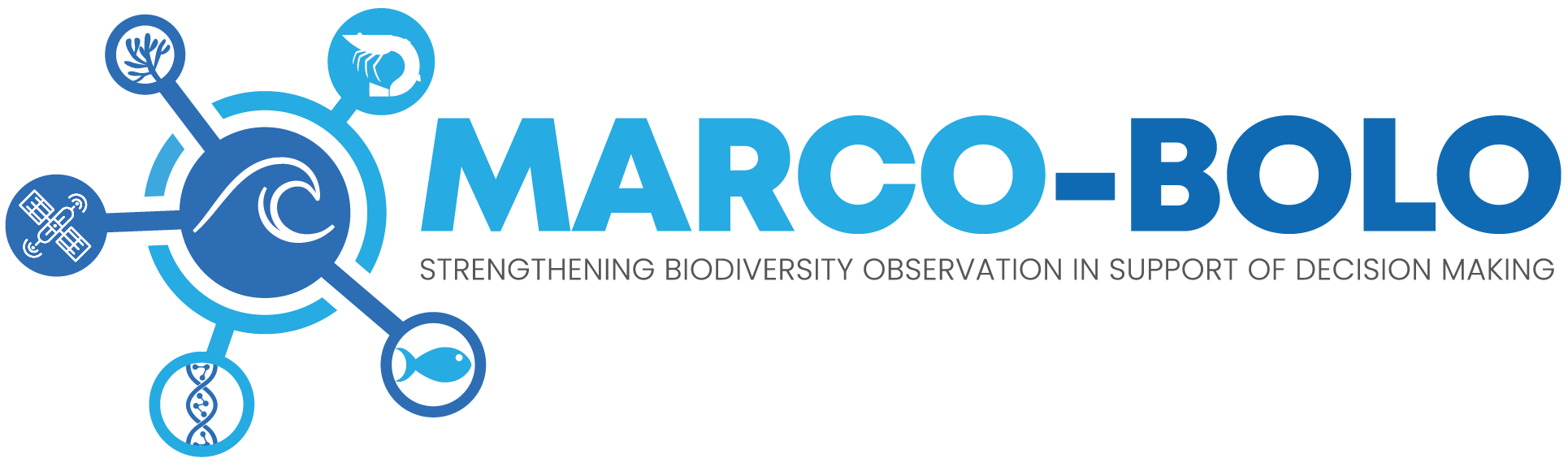 MARCO-BOLO logo