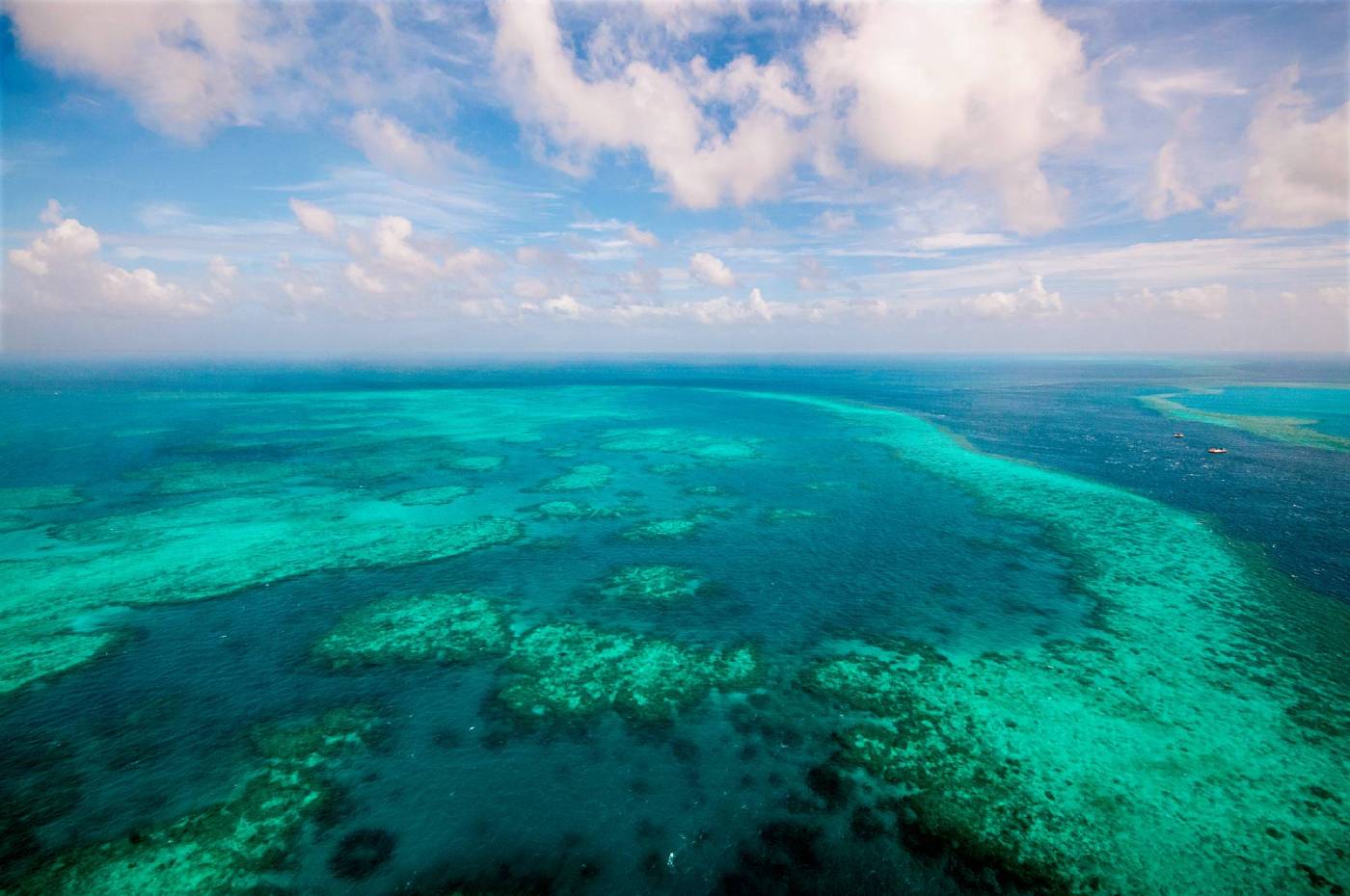 Marine Foundation Species and Biodiversity