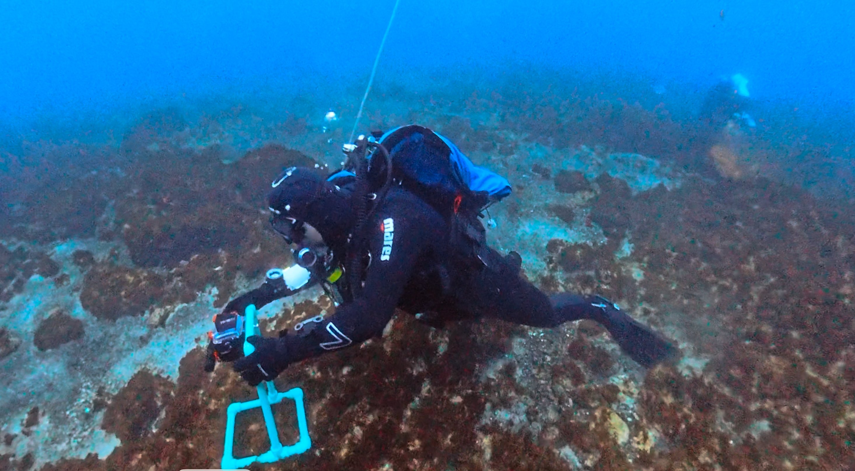 Workshop Terceira 2026 - diving