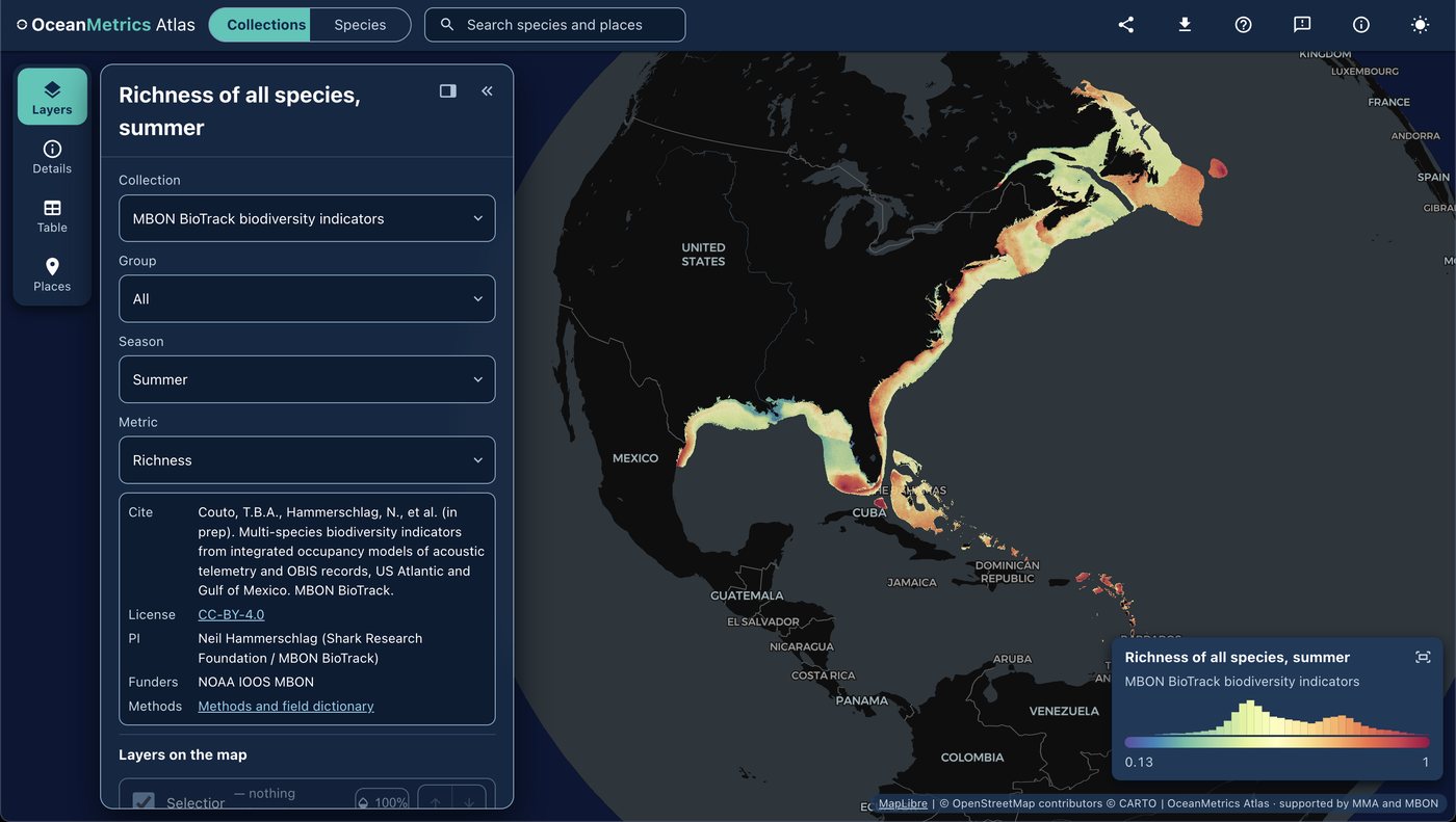 OceanMetrics Atlas