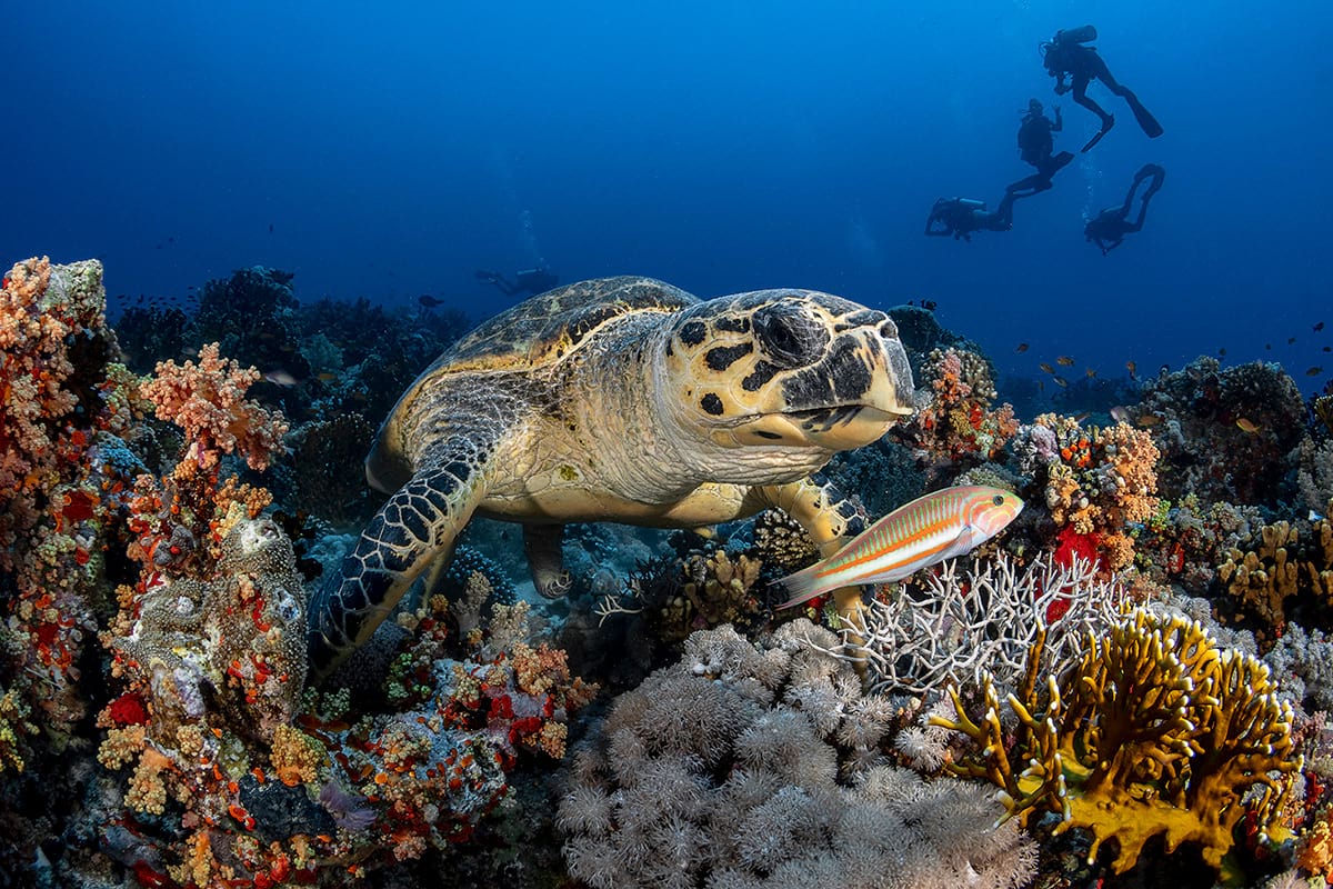 AIR Centre Partnership Renewal